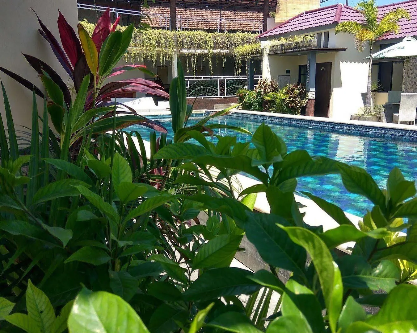 Hawaii Bali Villa Sanur  0*, Denpasar (Bali)