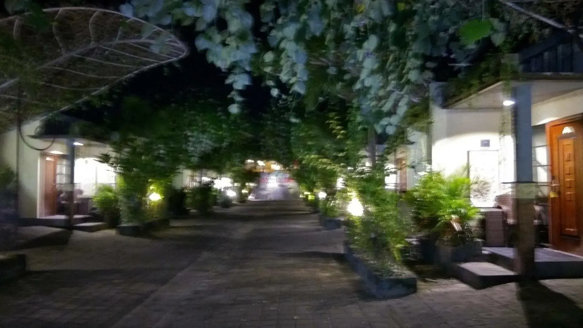 Hawaii Bali Villa Sanur  Hotel Denpasar (Bali)